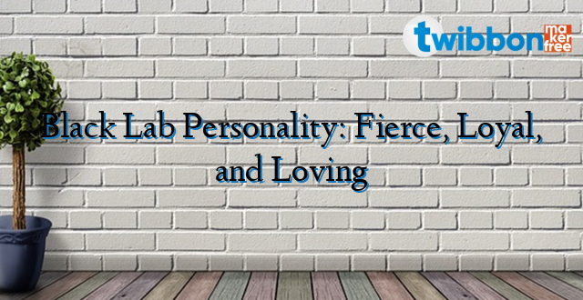 Black Lab Personality: Fierce, Loyal, and Loving