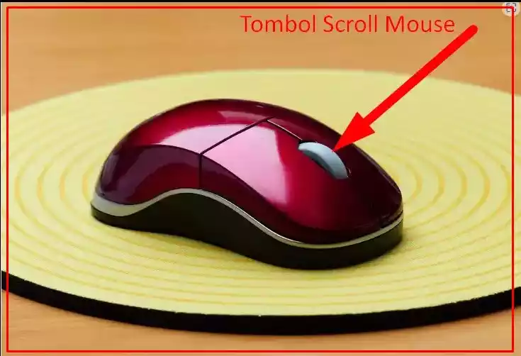 Dengan Menggulir Tombol Scroll Mouse 